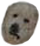 :pppppu:
