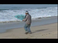 surfing.gif