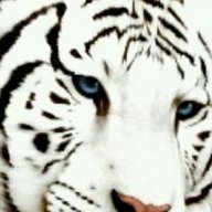 e-stet
